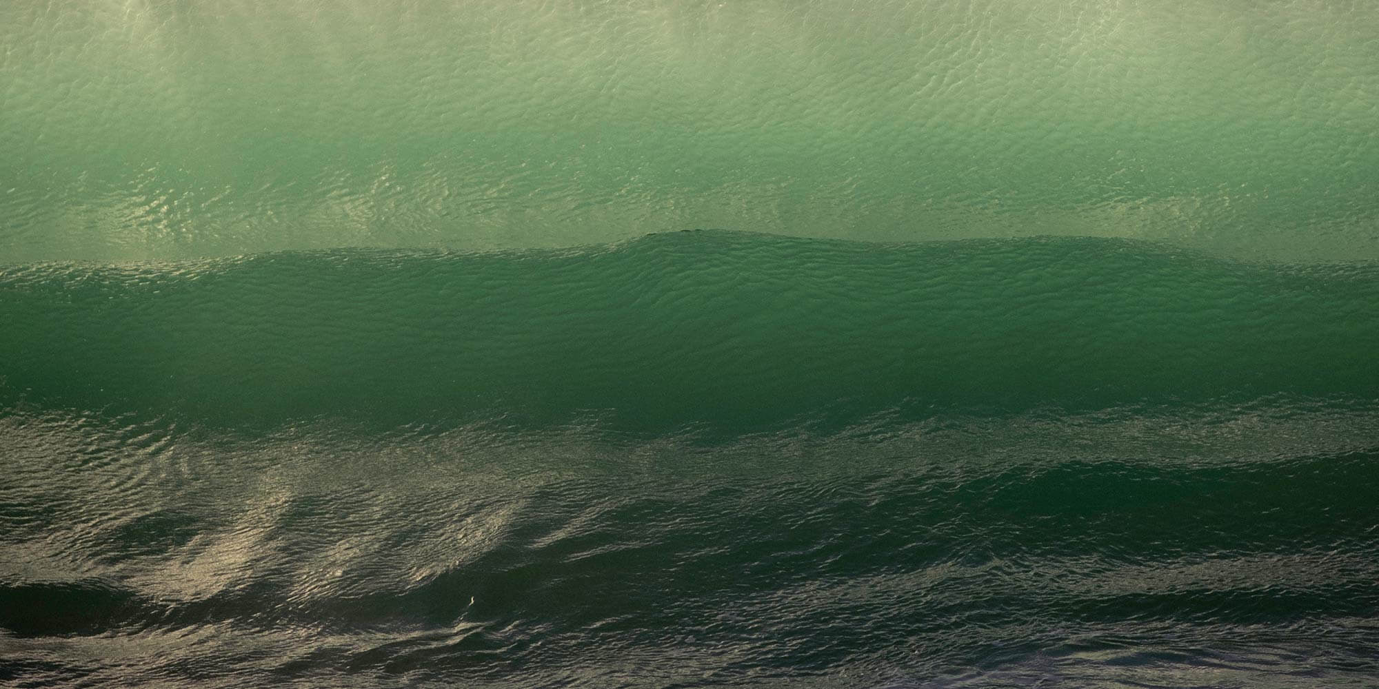 Occhiali da sole con montatura effetto tartaruga verde