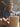 featured_image hover2