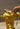 product_image featured_image