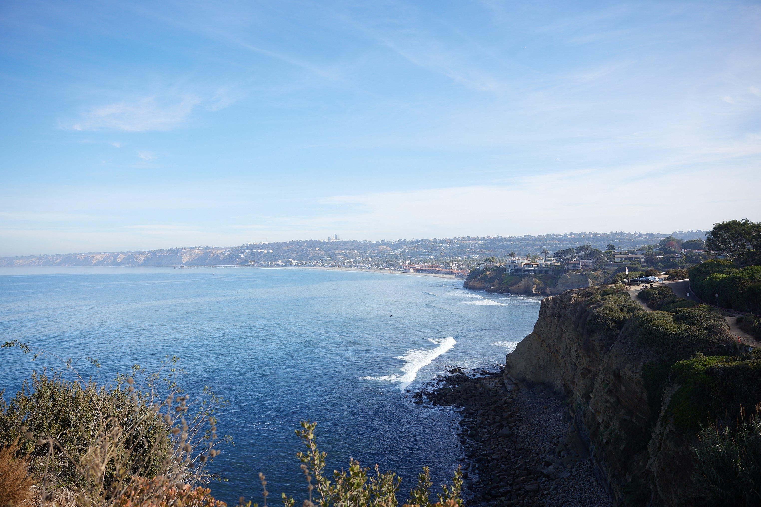 Spring/Summer Optical Styles | RAEN Eyeglasses in Fresh New Colors