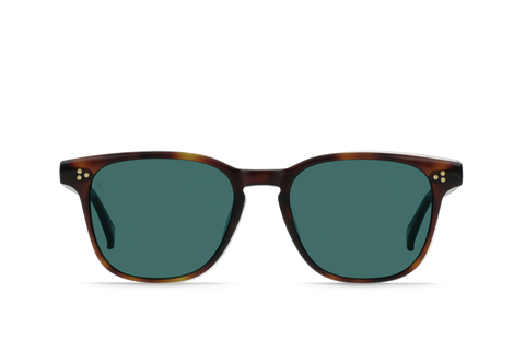 ALVEZ-Kola Tortoise / Pacifica-50 – RAEN
