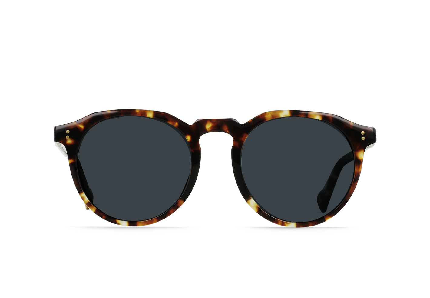 Remmy REC 52 Brindle Tortoise / Terra Polarized Sunglasses – RAEN