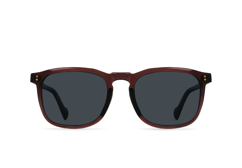 Wiley REC 54 Brindle Tortoise / Vector Polarized Sunglasses – RAEN