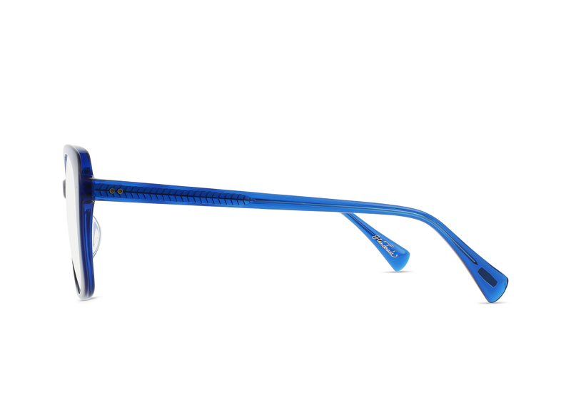 Shara 55 Golden Daze Tortoise / Clear Eyeglasses – RAEN