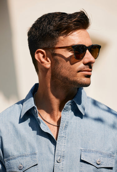 Alvez-Pinyon Grove / Vibrant Brown Polarized-50