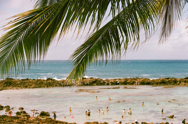 Oceanview of a hawaiian beach filled with people