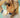featured_image 
