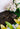 product_image featured_image