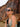 Woman wearing sunglasses and a tank top with a backpack in a desert setting