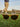Sunglasses on grass with a blurred golf course background
