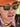 Close-up of a person wearing sunglasses with a cow reflected in the lenses, set against a natural background.