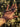 product_image featured_image