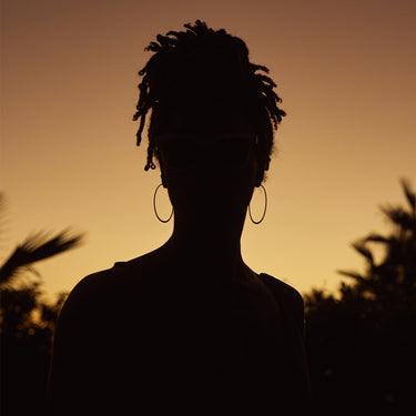 Silhouette of a person with dreadlocks against a sunset sky