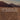 Desert landscape with the word 'TERRA' overlaid
