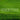 Green grass background with the word 'VECTOR' in white text.