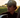Man wearing a cap and sunglasses with a blurred background