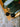 featured_image product_image