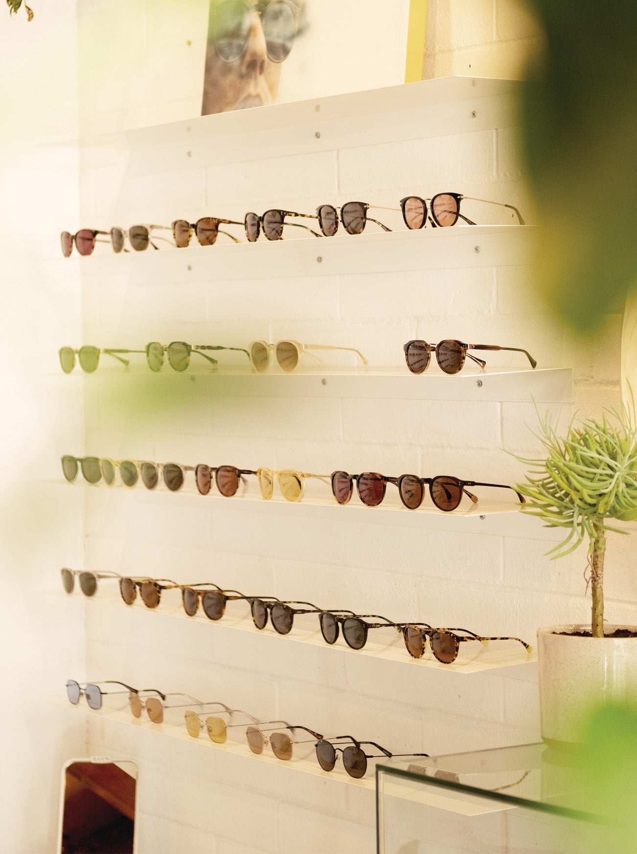 Frames sitting inside of a retail shelf