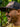 Man wearing a cap and sunglasses with a blurred green background
