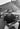 featured_image hover2