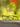 product_image featured_image 