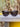 product_image featured_image