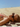 featured_image