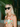 featured_image hover2