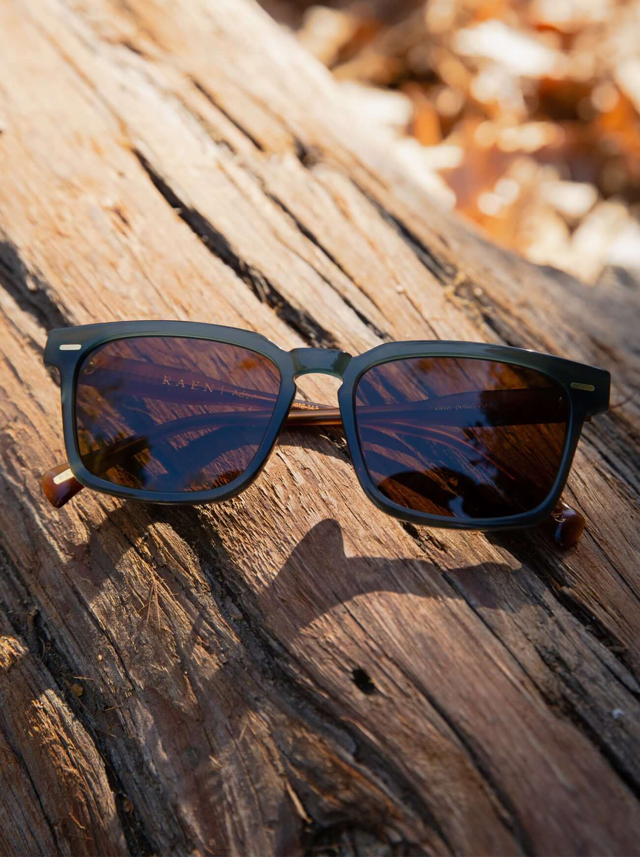 RAEN Adin Sunglasses in Cirus / Vibrant Brown Polarized